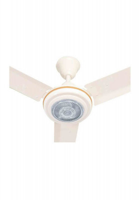 Minister GORGEOUS FAN