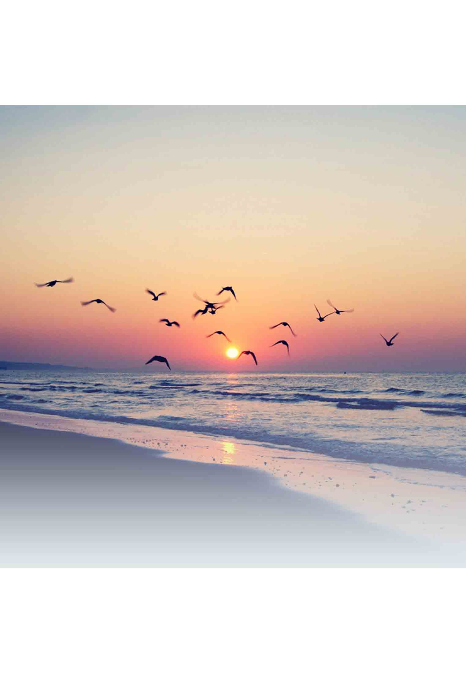 Honeymoon tour to Cox's bazar