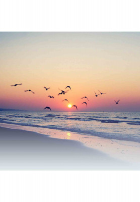 Honeymoon tour to Cox's bazar
