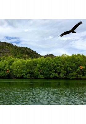 Kaula lumpur Langkawi honeymoon tour