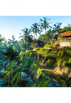 Singapore Bali honeymoon tour