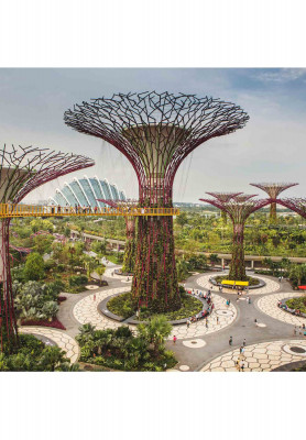 Singapore Bali honeymoon tour