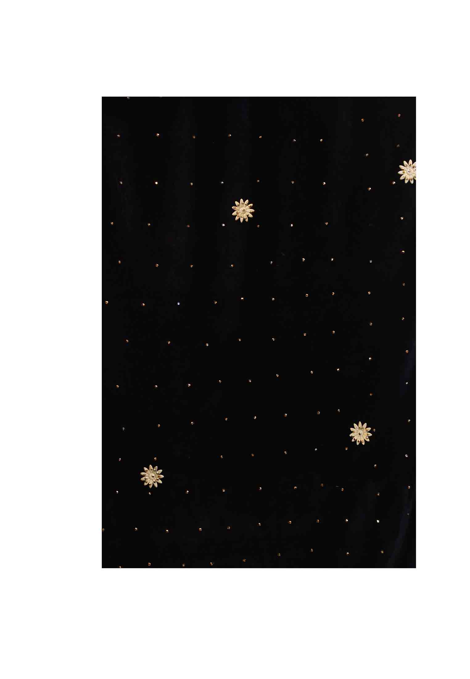 Indian velvet saree