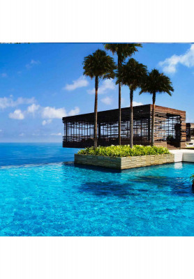 HONEYMOON TOUR TO BALI
