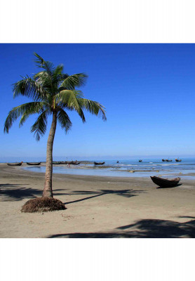 HONEYMOON  TOUR TO COX’S BAZAR 