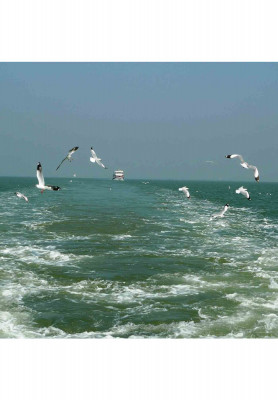 OCEAN PARADISE COX'S BAZAR TOUR