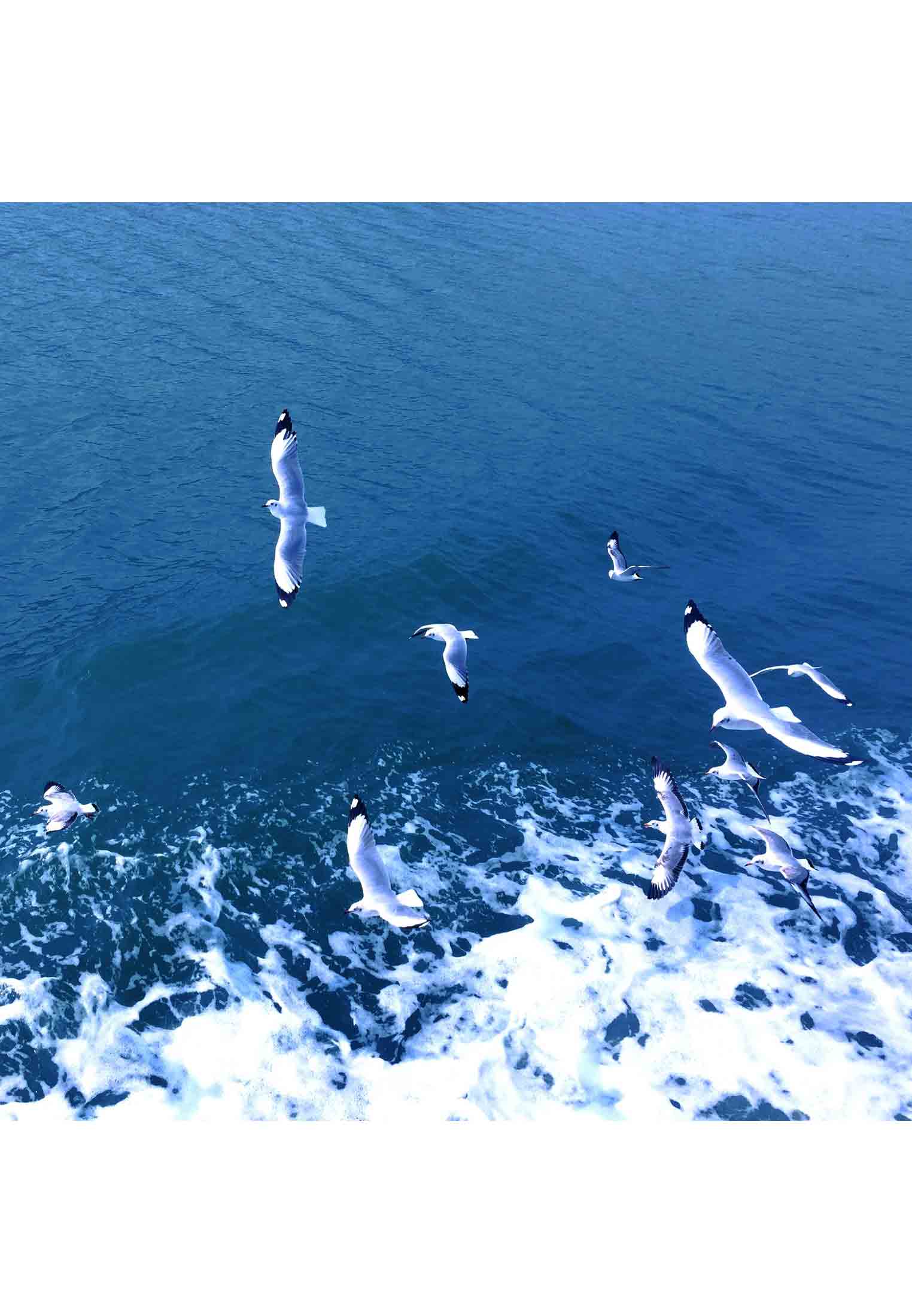 MERMAID ECO RESORT COX'S BAZAR TOUR