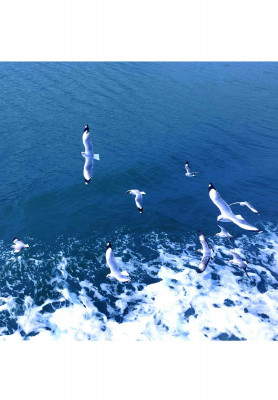 MERMAID ECO RESORT COX'S BAZAR TOUR