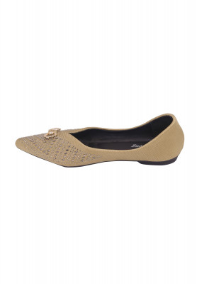 Chinese Flat Shoe