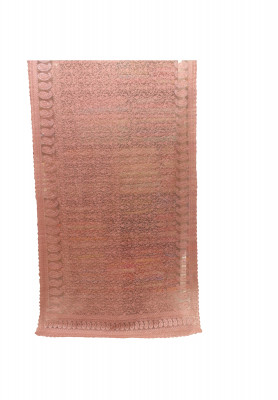 Indian Party Saree