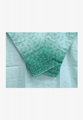 Paste Colored Regular Panjabi