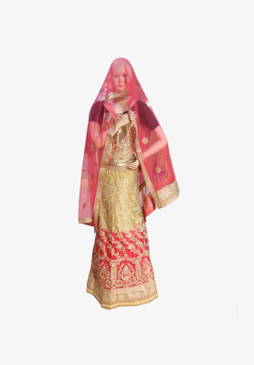 Indian party lehenga  