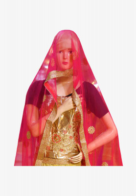 Indian party lehenga  