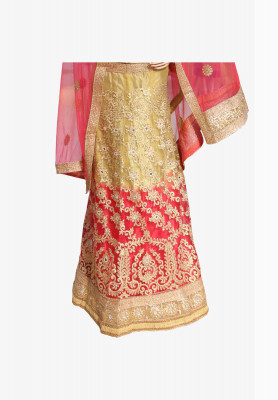 Indian party lehenga  