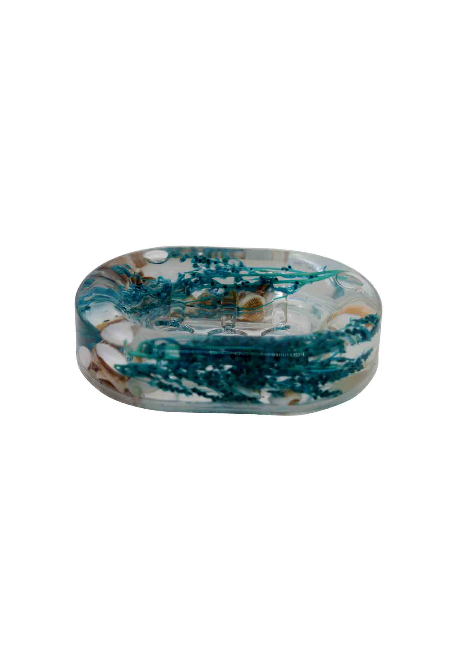 Soap case