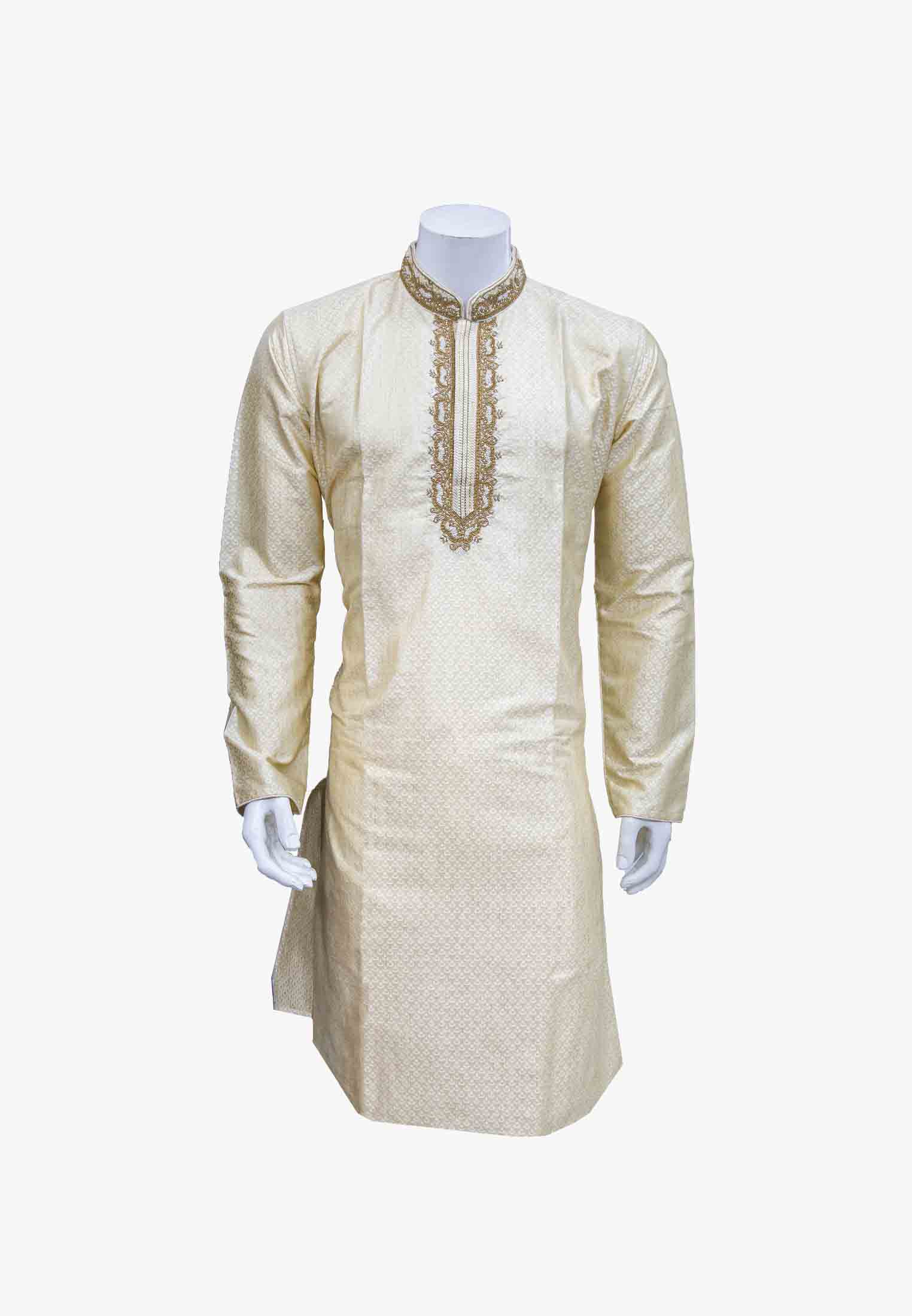 Indian Party Panjabi