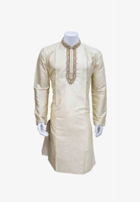 Indian Party Panjabi