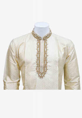 Indian Party Panjabi