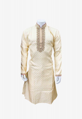 Indian Party Panjabi