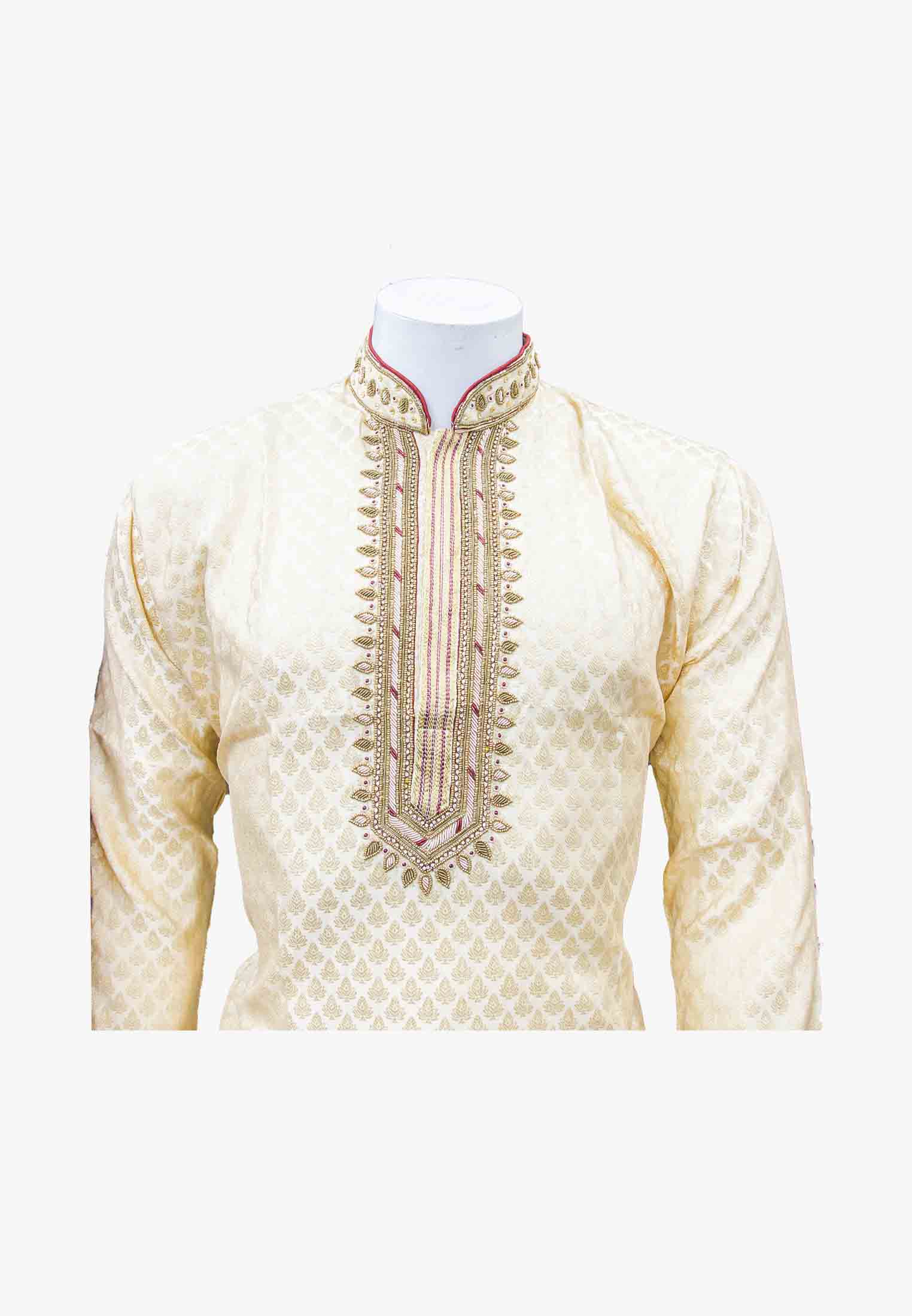 Indian Party Panjabi
