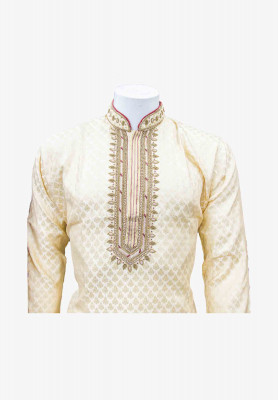 Indian Party Panjabi