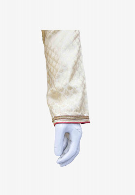 Indian Party Panjabi