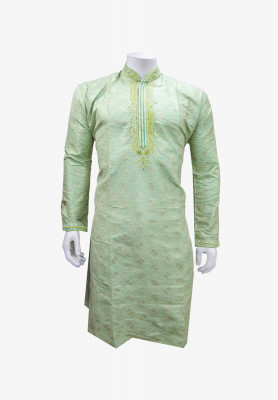 Indian Party Panjabi