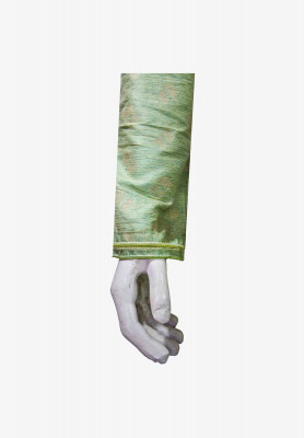 Indian Party Panjabi