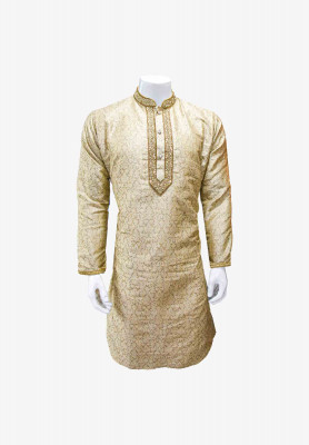 Indian Party Golden Panjabi
