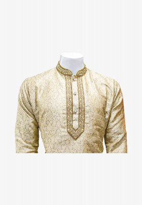 Indian Party Golden Panjabi