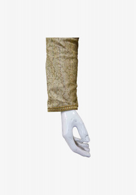Indian Party Golden Panjabi